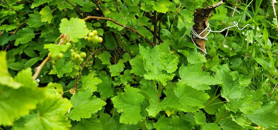 Einfamilienhaus Auma-Weidatal Weidatal - 9 Zimmer, 160 m&sup2;, 20.000&euro; | Angebot:25707834