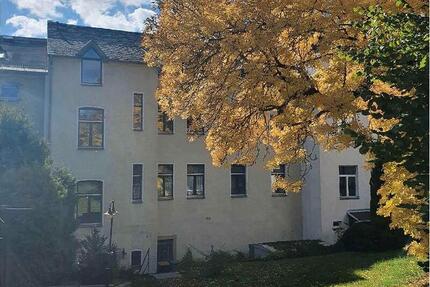 Wohnung Treuen - 2 Zimmer, 48 m&sup2;, 264&euro; | Angebot:26006952