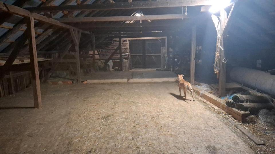 Bauernhaus, Landhaus Elsterberg - 10 Zimmer, 180 m&sup2;, 230.000&euro; | Angebot:25369880