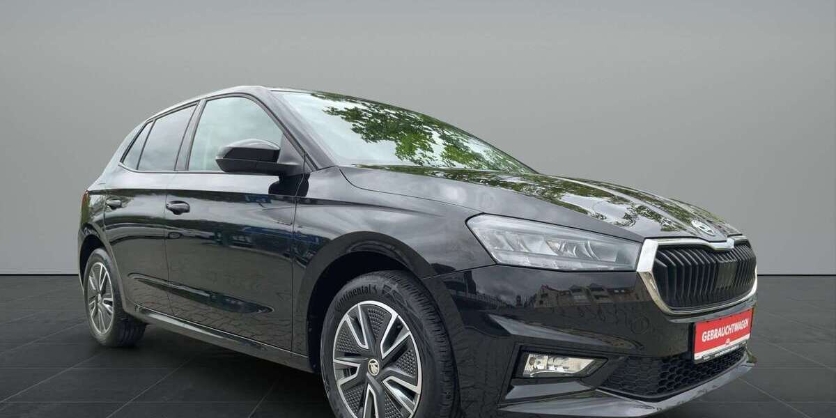 Skoda Fabia 41.280 km 14.900 &euro; Plauen 08529