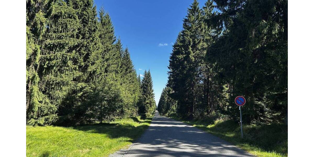 Mehrfamilienhaus, Wohnhaus Muldenhammer Schneckenstein - 4 Zimmer, 65 m&sup2;, 70.000&euro; | Angebot:25707498