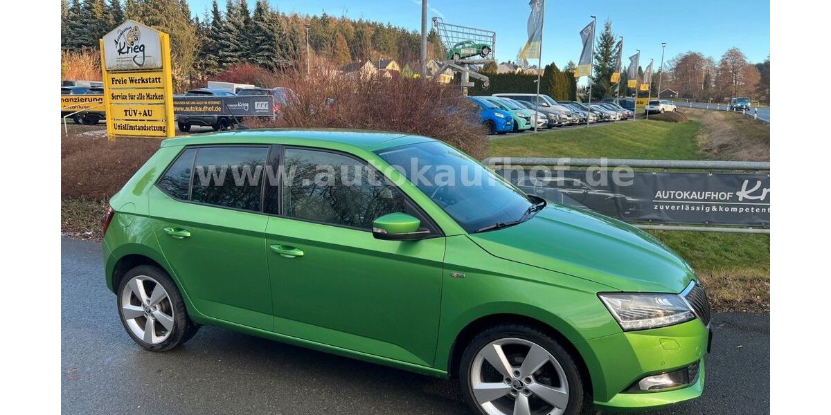 Skoda Fabia 42.000 km 14.495 &euro; Neuensalz - Mechelgrün 08541