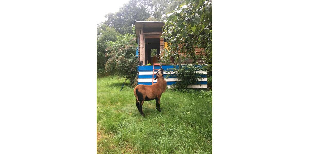 Bauernhaus, Landhaus Gefell - 12 Zimmer, 300 m&sup2;, 380.000&euro; | Angebot:25803486