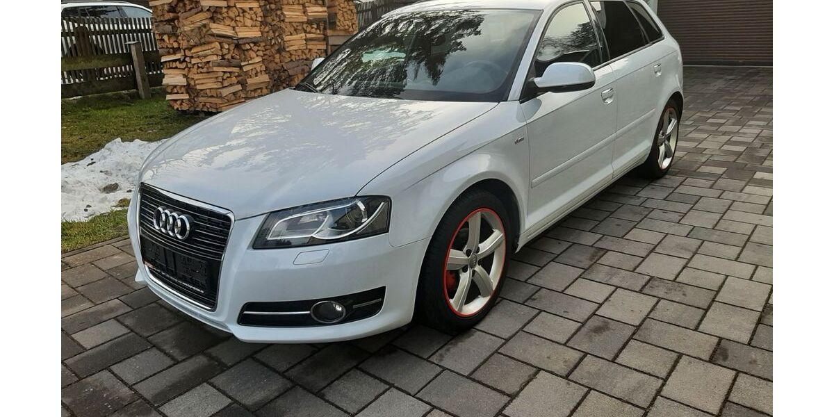 Audi A3 174.000 km 7.230 &euro; Grünbach 08223
