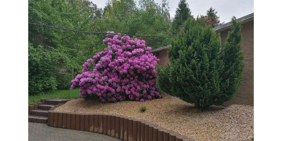 Etagenwohnung Auerbach/Vogtland Vogtland - 3 Zimmer, 106 m&sup2;, 630&euro; | Angebot:25951420