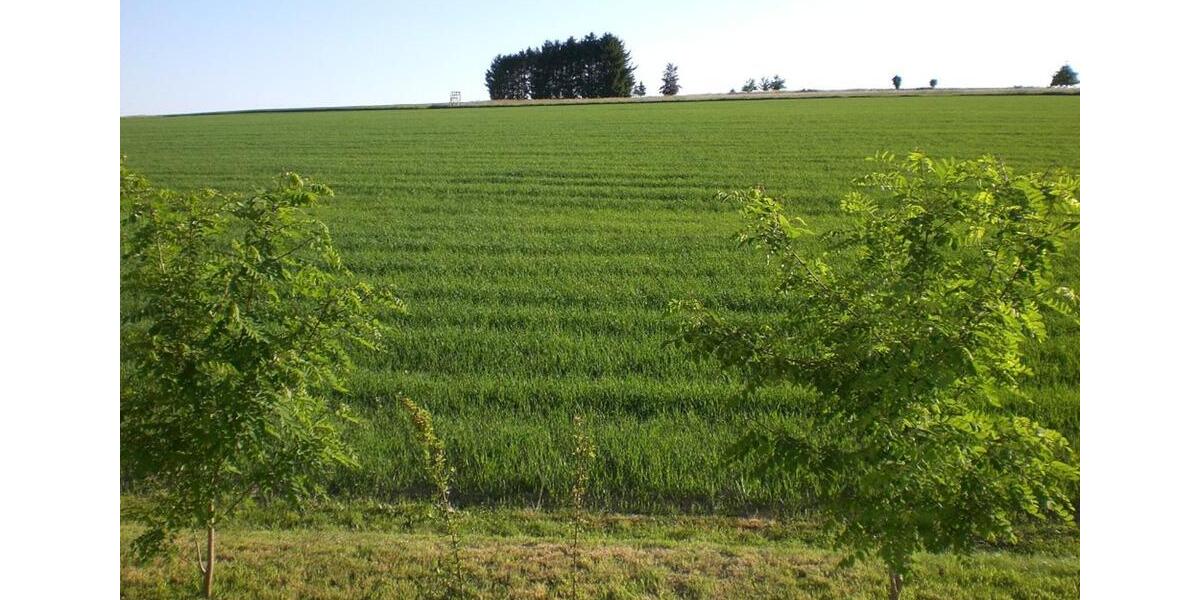 Einfamilienhaus Elsterberg - 11 Zimmer, 152 m&sup2;, 499.000&euro; | Angebot:22745684