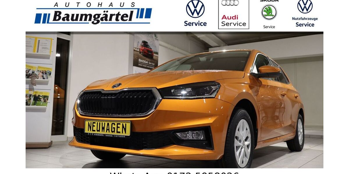 Skoda Fabia 550 km 21.950 &euro; Schönheide 08304