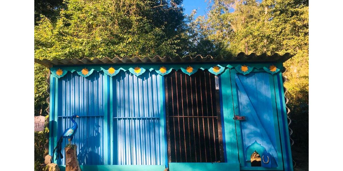 Mehrfamilienhaus, Wohnhaus Gefell - 12 Zimmer, 300 m&sup2;, 370.000&euro; | Angebot:25803486