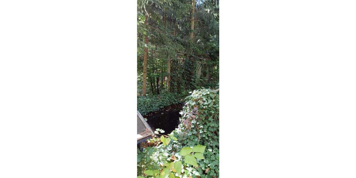 Grundstück Zeulenroda-Triebes Triebes - 39.500&euro; | Angebot:26742062
