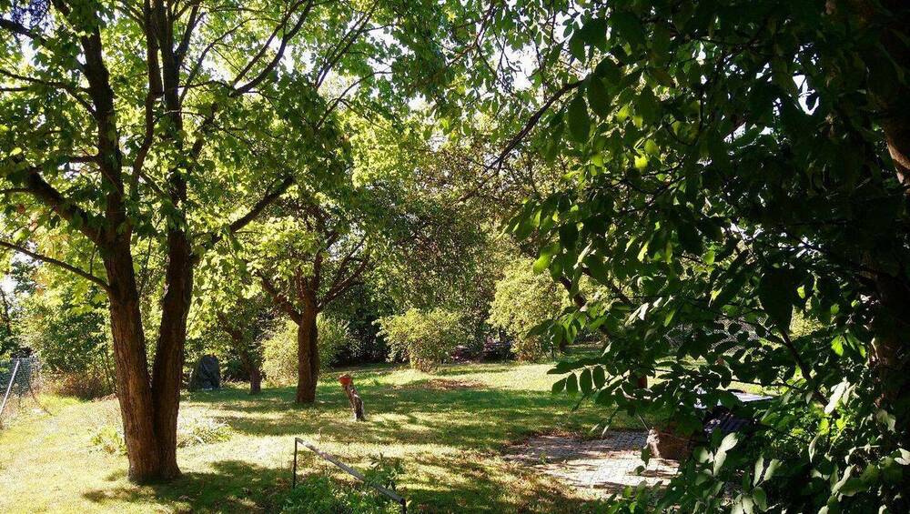 Einfamilienhaus Zeulenroda - 5 Zimmer, 120 m&sup2;, 330.000&euro; | Angebot:25996821