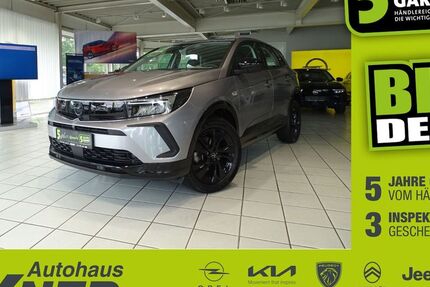 Opel Grandland (X) 17.479 km 18.990 &euro; Hof 95032