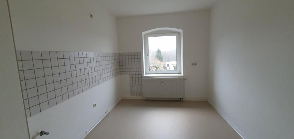 Etagenwohnung Plauen Haselbrunn - 2 Zimmer, 63 m&sup2;, 240&euro; | Angebot:25975807