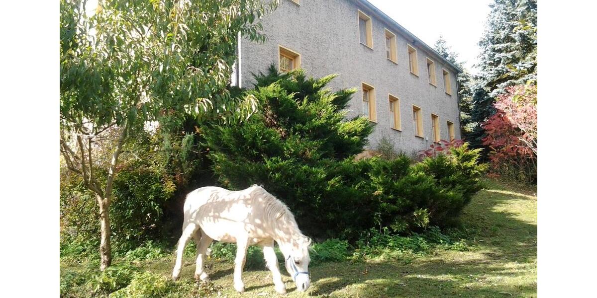 Bauernhaus, Landhaus Gefell - 12 Zimmer, 300 m&sup2;, 380.000&euro; | Angebot:25803486