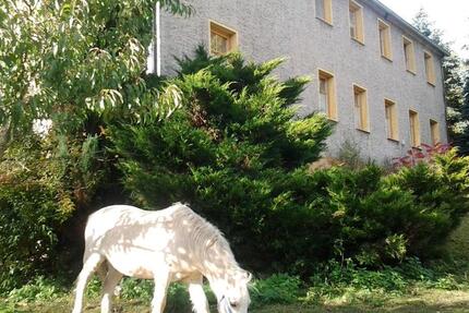 Haus Gefell - 12 Zimmer, 300 m&sup2;, 370.000&euro; | Angebot:25803486