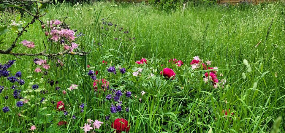 Einfamilienhaus Auma-Weidatal Weidatal - 9 Zimmer, 160 m&sup2;, 20.000&euro; | Angebot:25707834