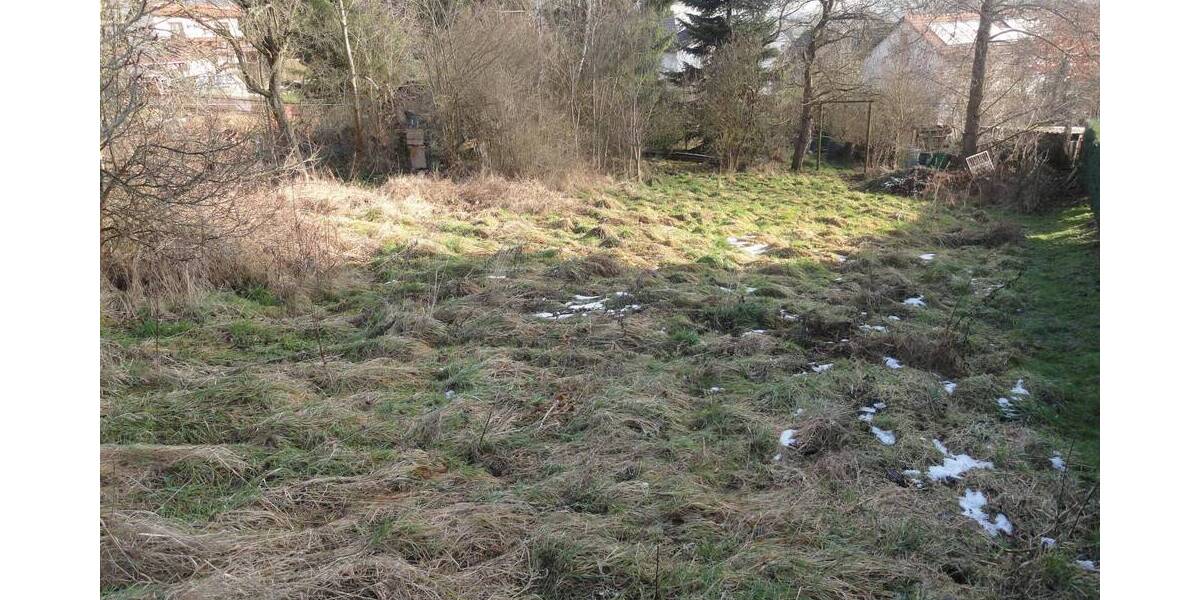 Grundstück Plauen Reißig - 83.000&euro; | Angebot:25686099