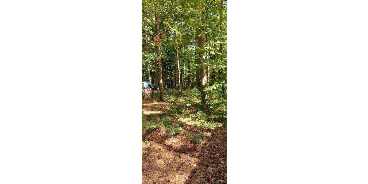 Grundstück Zeulenroda-Triebes Triebes - 39.500&euro; | Angebot:25688109