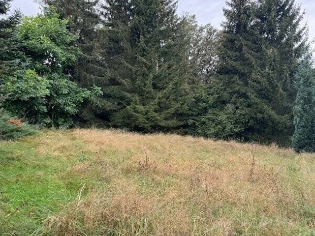 Einfamilienhaus Bösenbrunn - 5 Zimmer, 139 m&sup2;, 180.000&euro; | Angebot:25662030