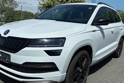Skoda Karoq 145.000 km 16.999 &euro; Rehau 95111
