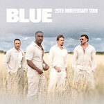 Kitchen Upgrade - Blue - 25th Anniversary Tour