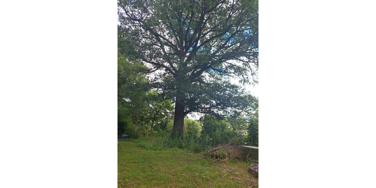 Mehrfamilienhaus, Wohnhaus Zeulenroda-Triebes Triebes - 10 Zimmer, 340 m&sup2;, 117.000&euro; | Angebot:26040853