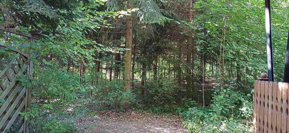 Grundstück Zeulenroda-Triebes Triebes - 39.500&euro; | Angebot:25688109