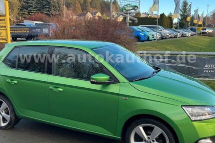 Skoda Fabia 42.000 km 14.795 &euro; Neuensalz - Mechelgrün 08541
