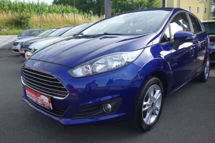 Ford Fiesta 175.000 km 2.990 &euro; Hof 95030
