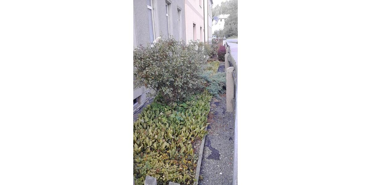 Einfamilienhaus Greiz - 10 Zimmer, 220 m&sup2;, 44.000&euro; | Angebot:24152075