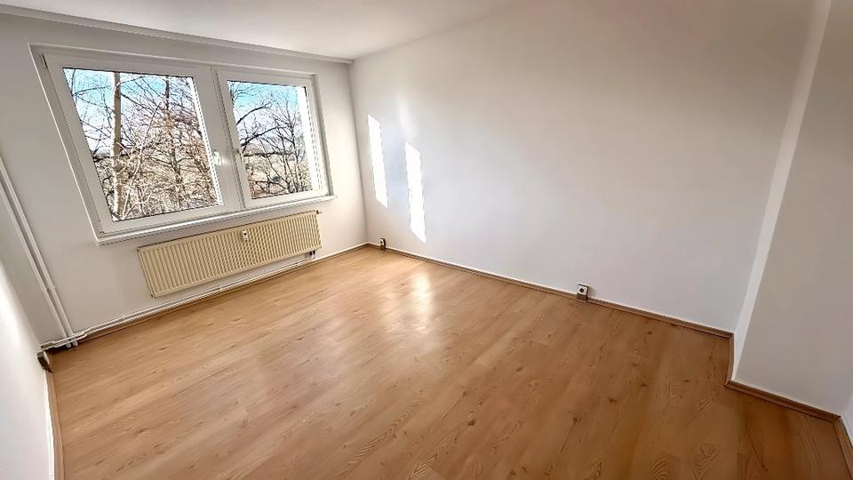 Etagenwohnung Netzschkau - 2 Zimmer, 46 m&sup2;, 300&euro; | Angebot:26040349