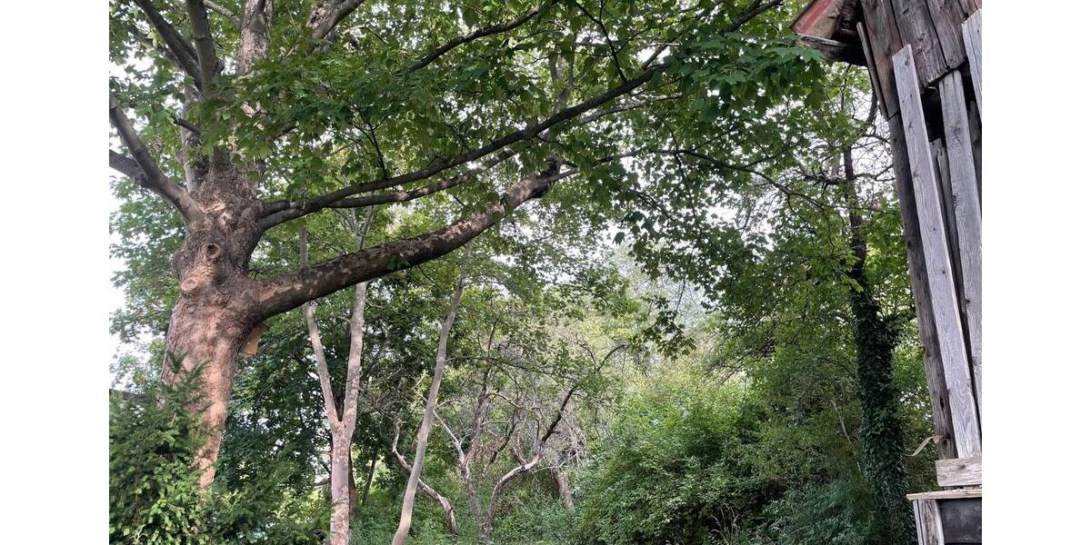 Reihenhaus Plauen Alt Chrieschwitz - 5 Zimmer, 160 m&sup2;, 65.000&euro; | Angebot:19259851