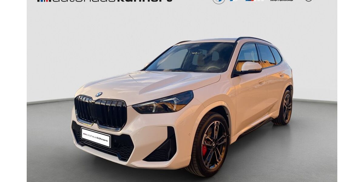 BMW X1 2.026 km 46.998 &euro; Schleiz 07907