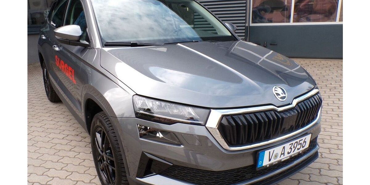 Skoda Karoq 12.000 km 29.450 &euro; Bad Elster 08645