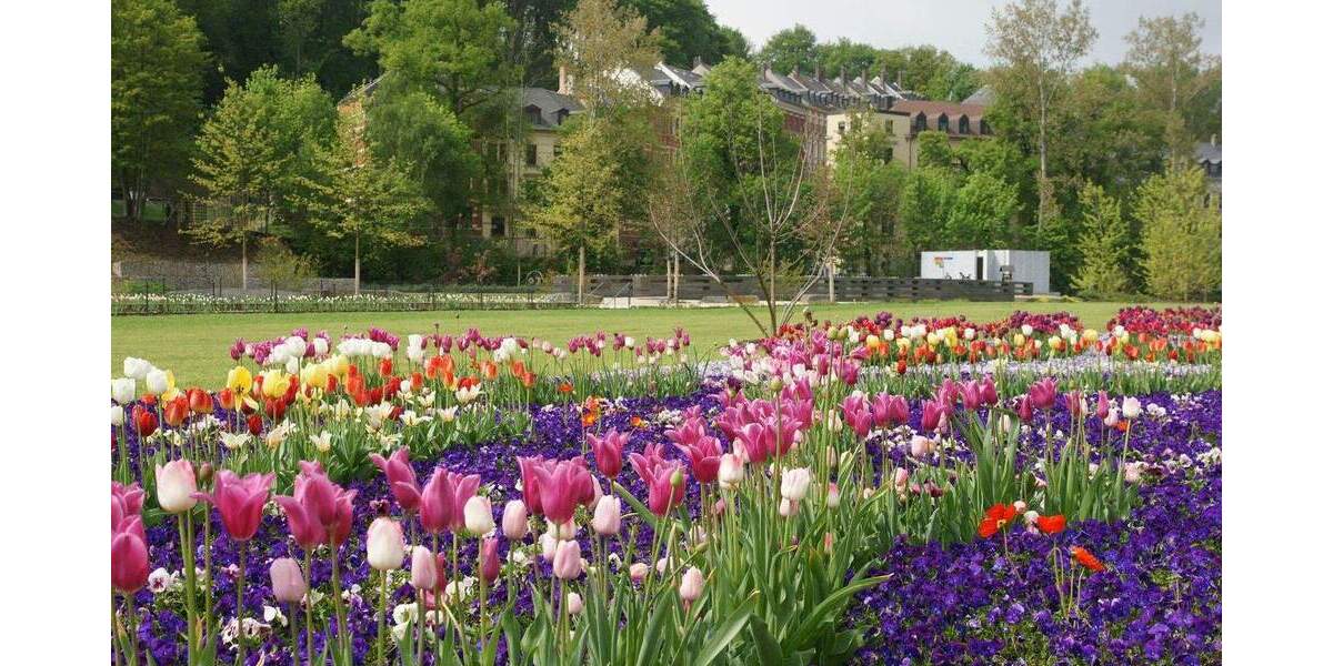 Mehrfamilienhaus, Wohnhaus Reichenbach Rotschau - 3 Zimmer, 367 m&sup2;, 390.000&euro; | Angebot:25719237