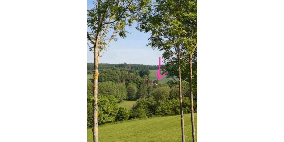 Mehrfamilienhaus, Wohnhaus Gefell - 12 Zimmer, 300 m&sup2;, 370.000&euro; | Angebot:25803486