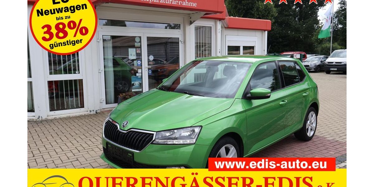 Skoda Fabia 210.180 km 4.490 &euro; Berga-Wünschendorf 07980