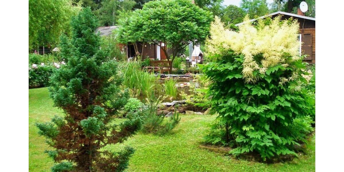 Grundstück Plauen Haselbrunn - 74.500&euro; | Angebot:26741950