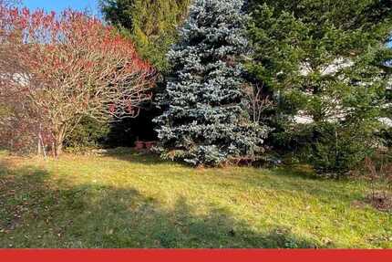 Grundstück Mechelgrün Mechelgrün - 49.990&euro; | Angebot:25661995