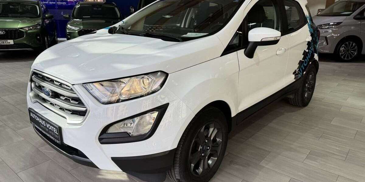 Ford EcoSport 89.800 km 10.990 &euro; Plauen 08525