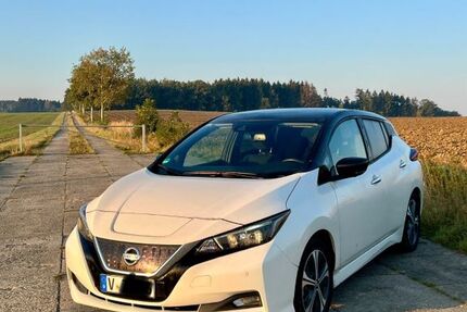 Nissan Leaf 53.500 km 13.500 &euro; Treuen 08233