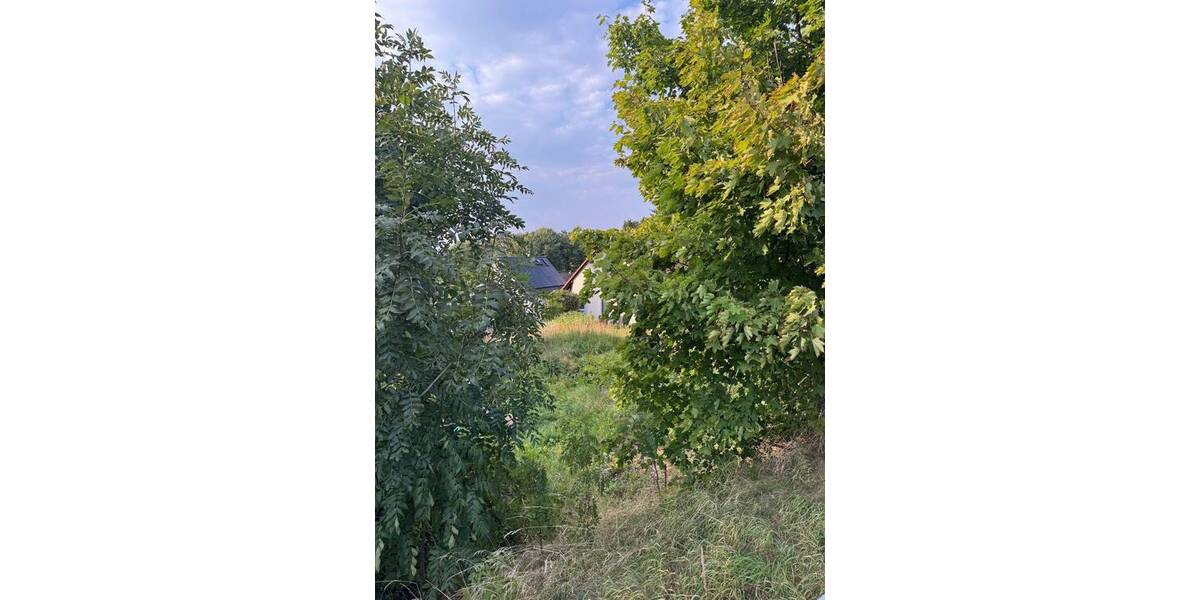 Grundstück Schloditz Droßdorf - 29.000&euro; | Angebot:25688638