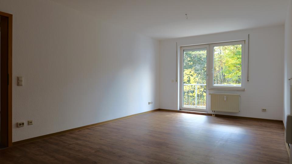Etagenwohnung Auerbach/Vogtland Vogtland - 2 Zimmer, 59 m&sup2;, 350&euro; | Angebot:23448941