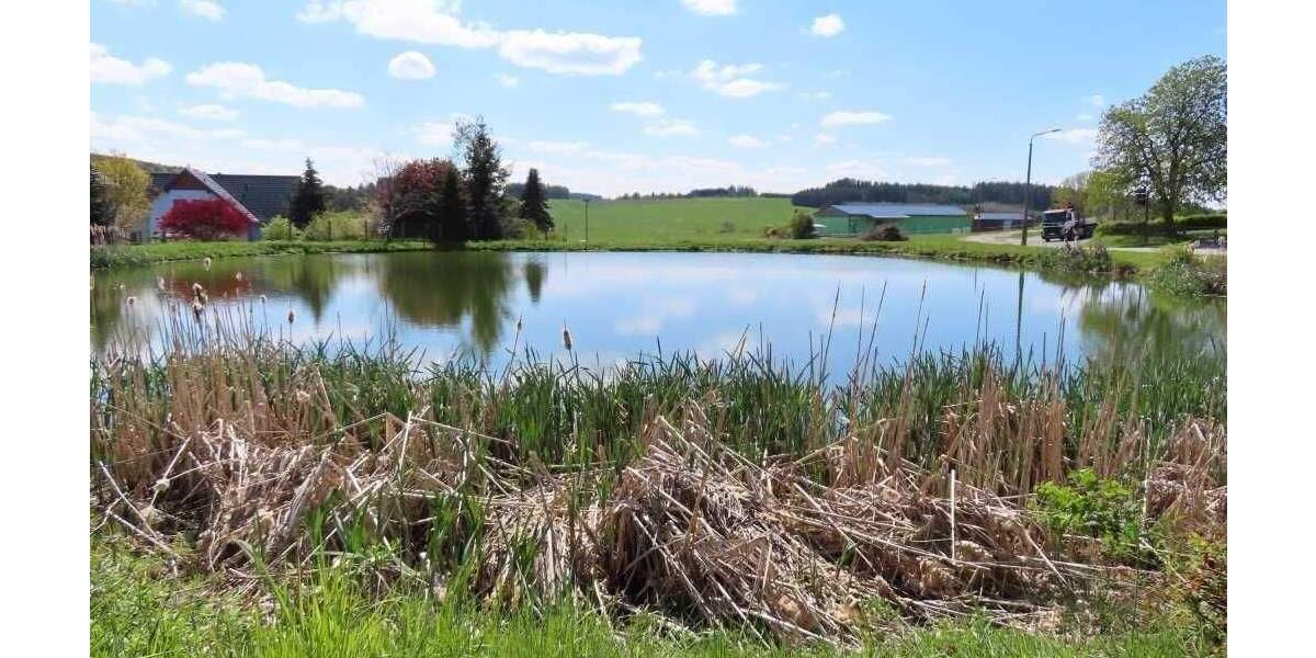 Einfamilienhaus Tanna Künsdorf - 4 Zimmer, 85 m&sup2;, 57.500&euro; | Angebot:25688102