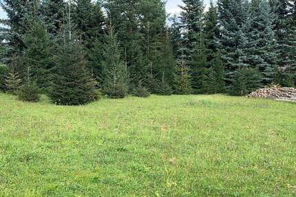 Grundstück Neustadt - 35.000&euro; | Angebot:14202474