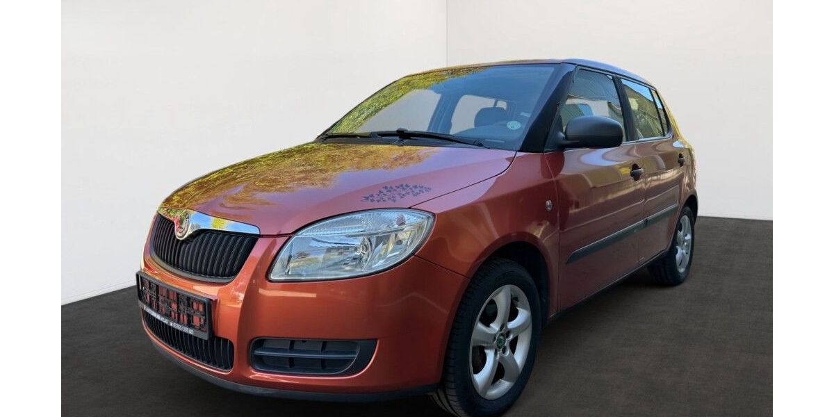 Skoda Fabia 95.159 km 5.550 &euro; Neumark OT Schönbach 08496
