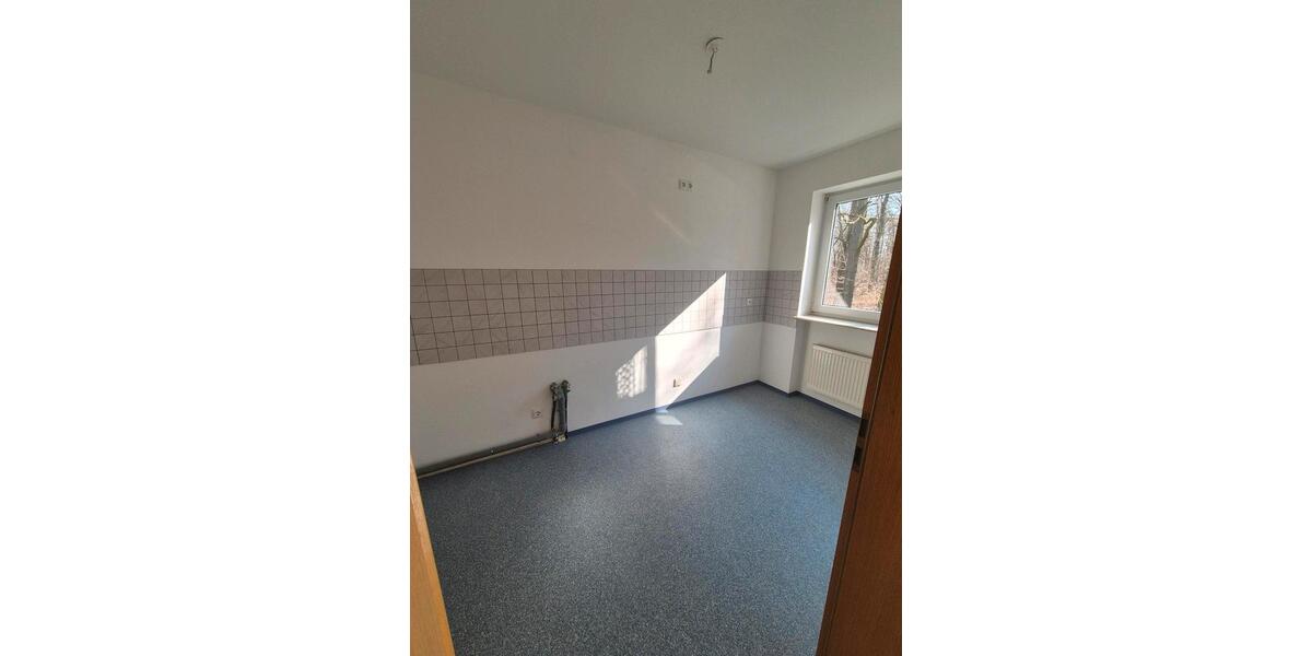 Etagenwohnung Netzschkau - 2 Zimmer, 68 m&sup2;, 450&euro; | Angebot:25959636