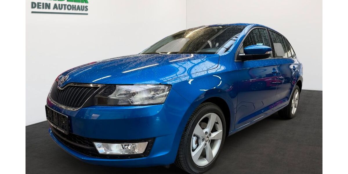 Skoda Rapid 30.850 km 12.450 &euro; Mylau 08499
