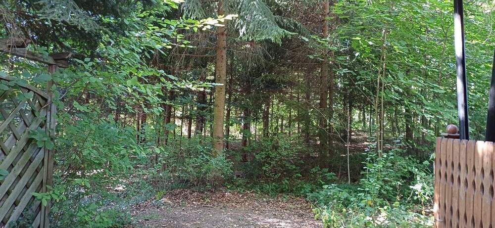 Grundstück Zeulenroda-Triebes Triebes - 39.500&euro; | Angebot:25688109