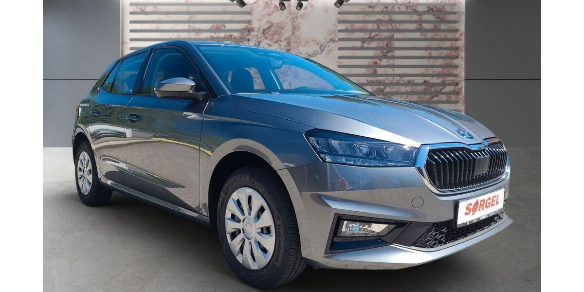 Skoda Fabia 1.031 km 20.800 &euro; Bad Elster 08645