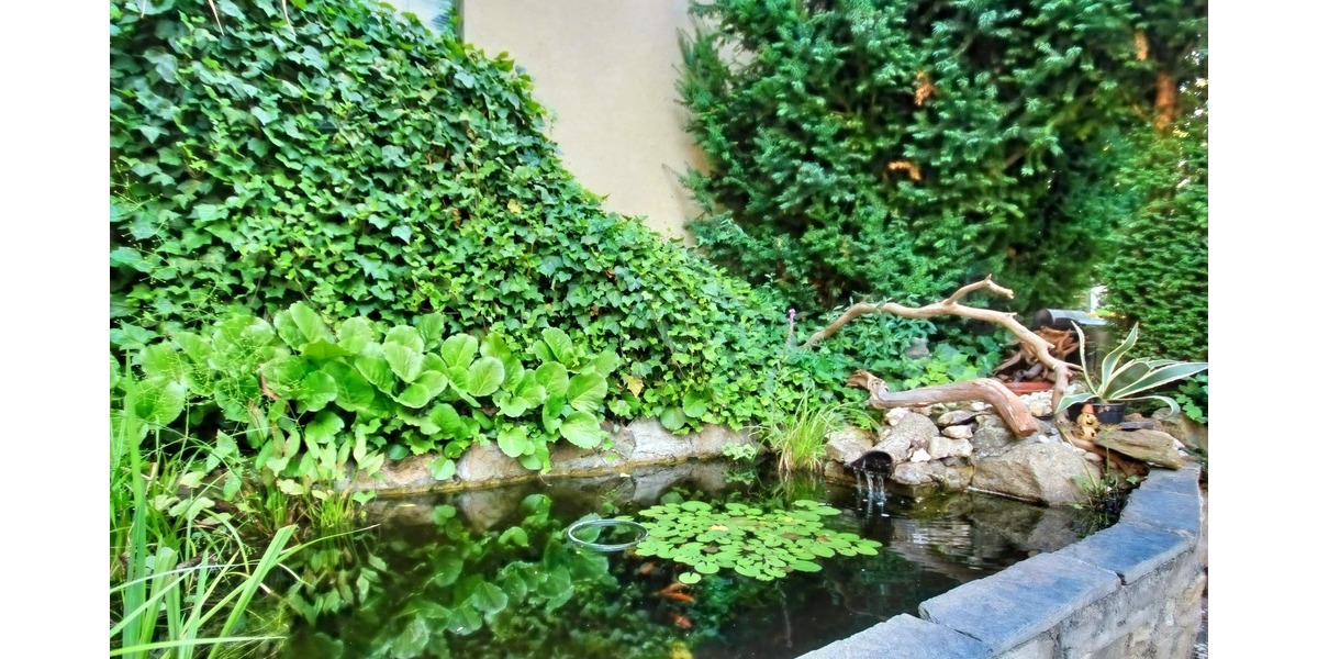 Mehrfamilienhaus, Wohnhaus Treuen - 1 Zimmer, 281 m&sup2;, 149.500&euro; | Angebot:25685574